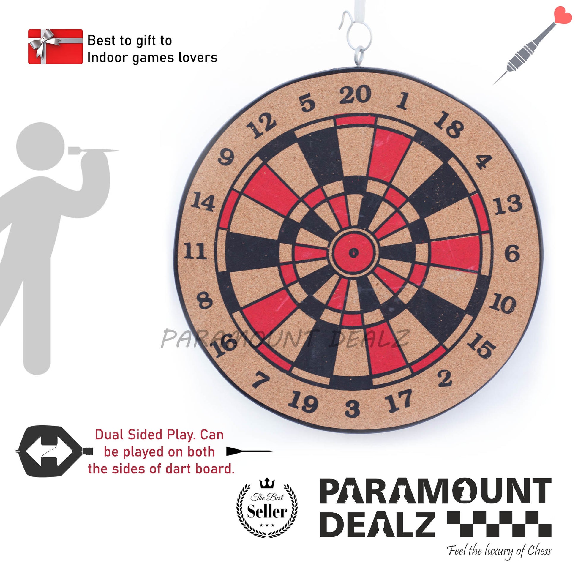 Professional Dart Board