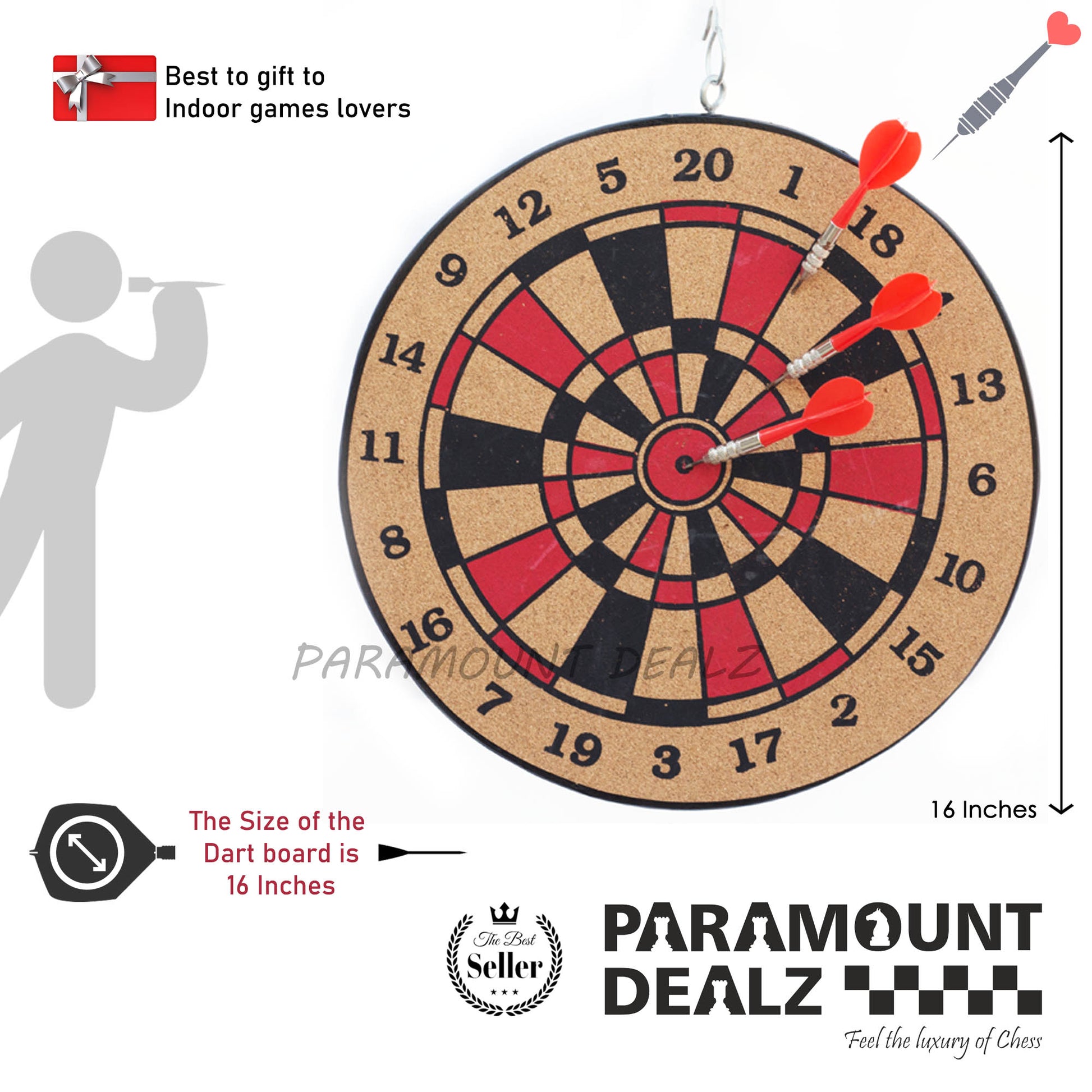 Professional Dart Board