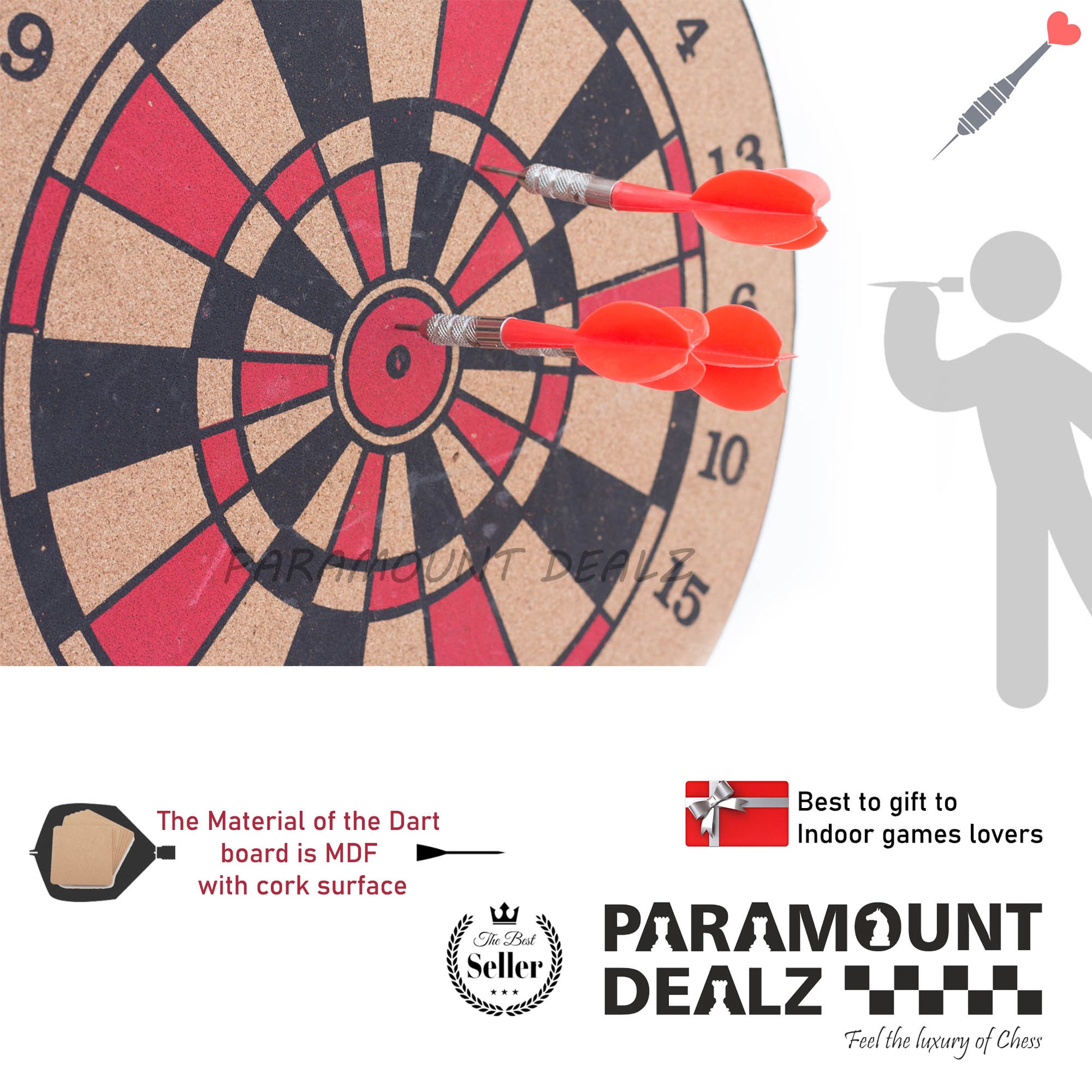 Professional Dart Board