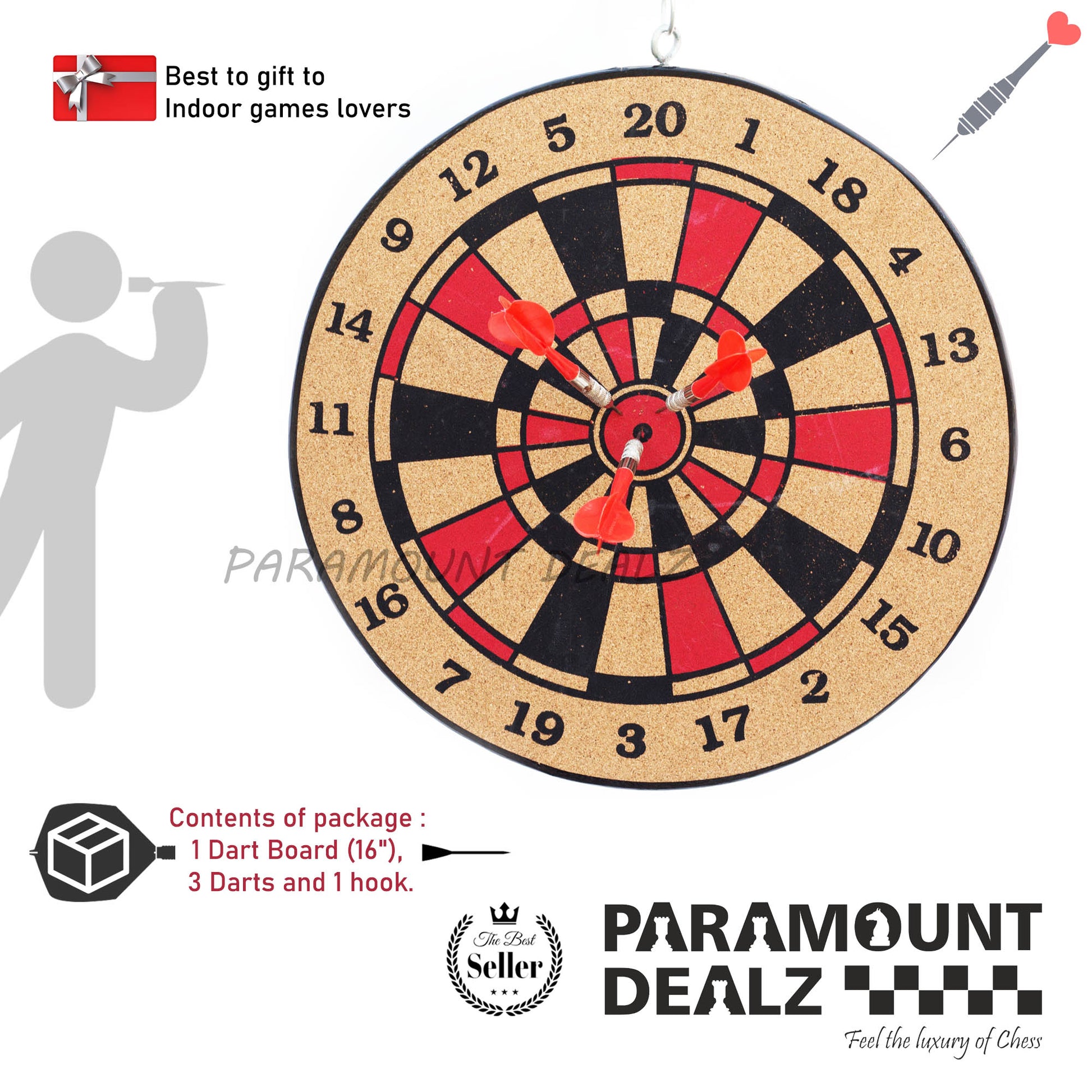 Professional Dart Board