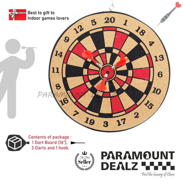 Professional Dart Board